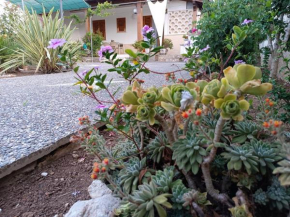 il giardino di Sofia Charm and Comfort Apartment Torre Dell'orso
